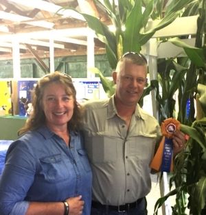 Ray and Donna Brands are pictured with their award-winning corn. Ray holds an orange and blue award ribbon. They are both smiling at the camera.