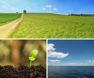 A triptych of images. Green grasses sway on a sunny, breezy day. A bright green plant sprouts from dark, fluffy soil. A sunny day on Lake Champlain.