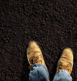 An image of work boots standing on dark soil.