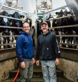 Tim Kayhart (right) with his brother Steve in their milking parlour. A herd of curious holsteins peers through the fence behind them.